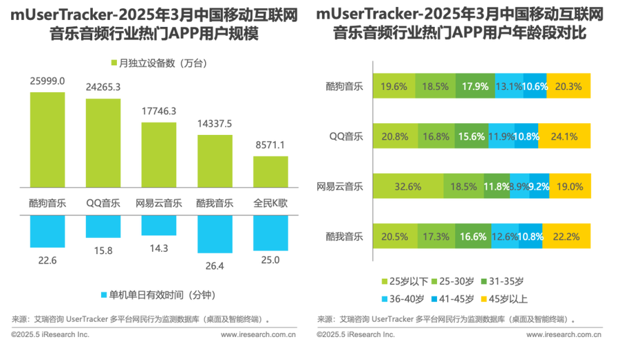 2025互联网排行分析