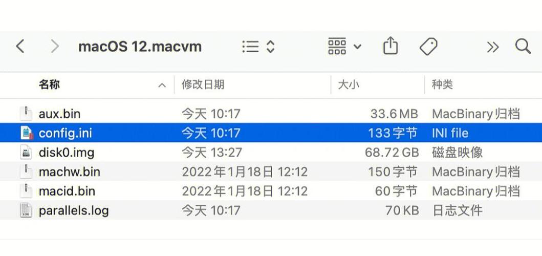mac 分给虚拟机 几颗处理器