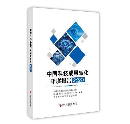 2025互联网女王报告