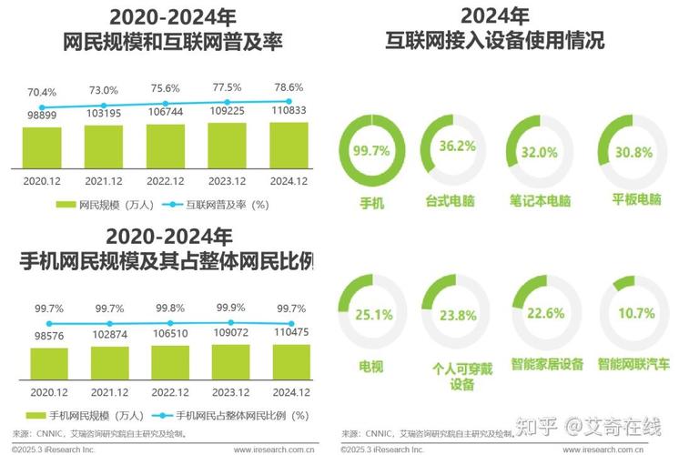 2025互联网用户人数