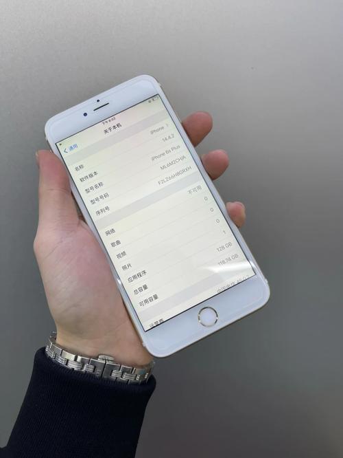 查看苹果6splus处理器型号