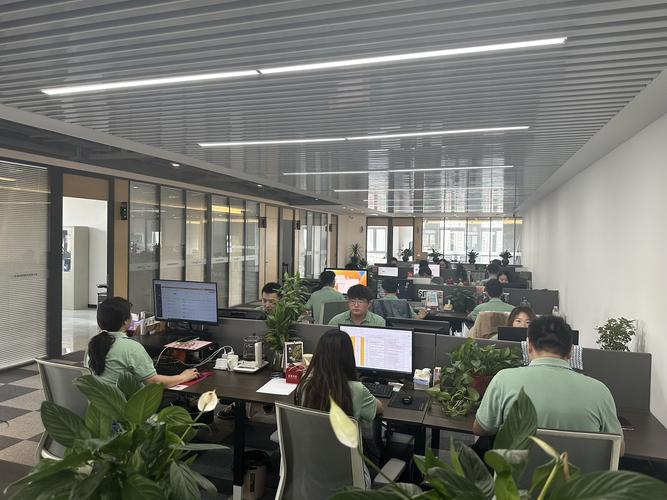 深圳 上海 互联网公司