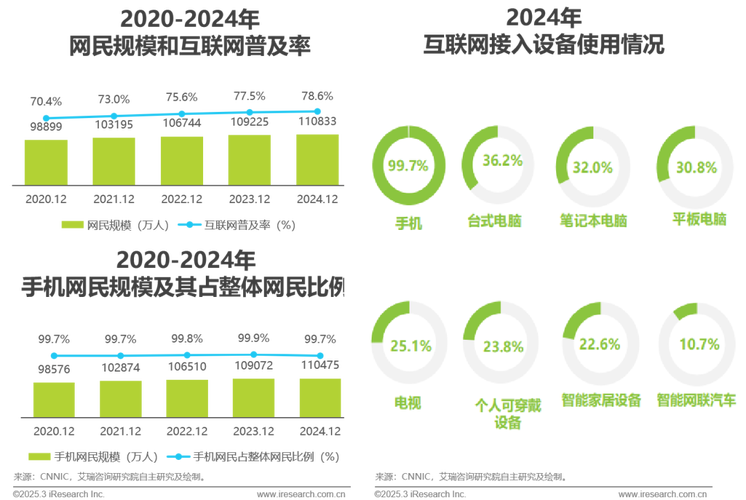 2025 报告 互联网