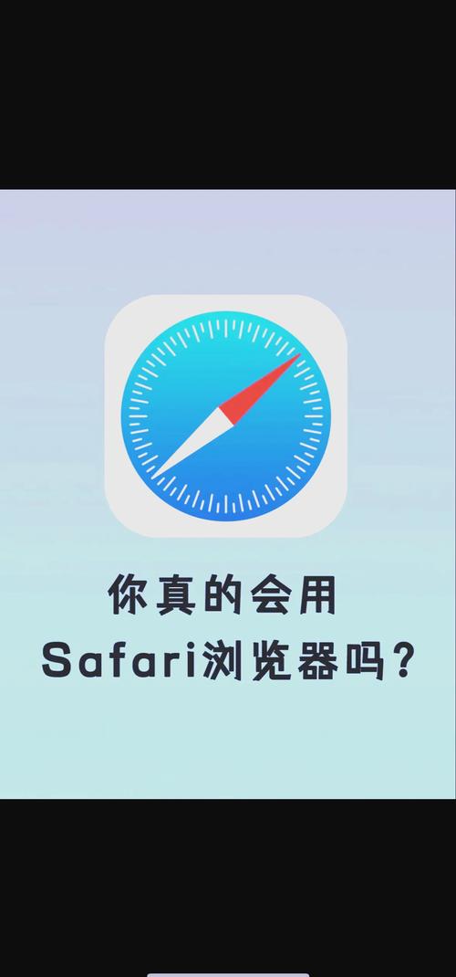 safari 个别网站