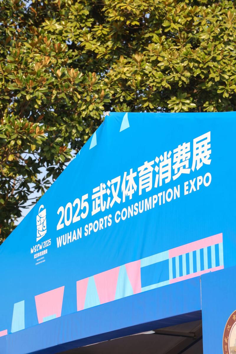 2025互联网体育消费
