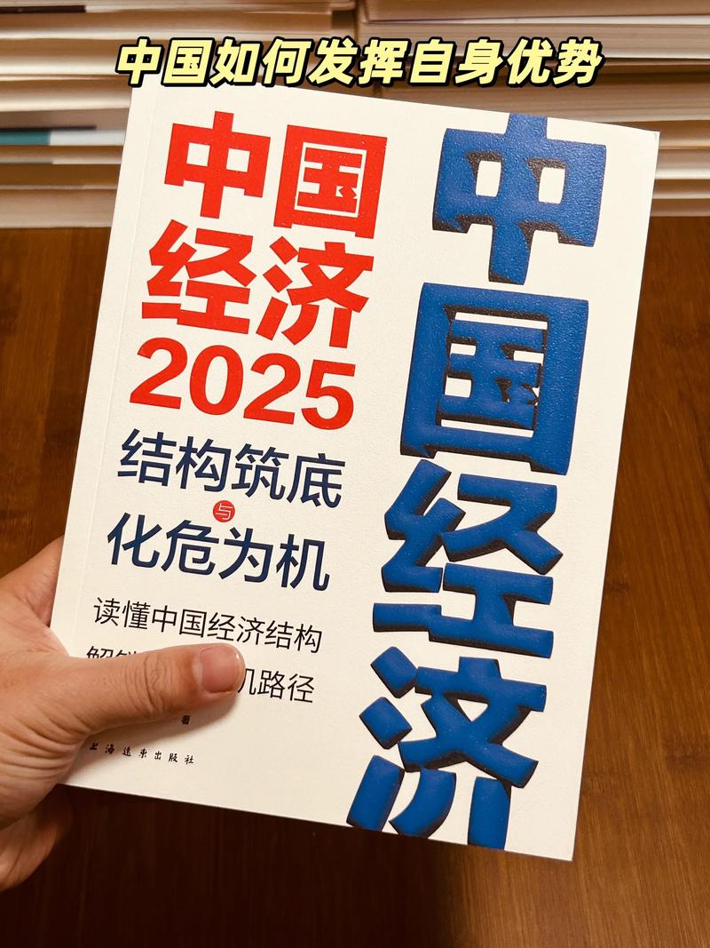 2025互联网经济书籍