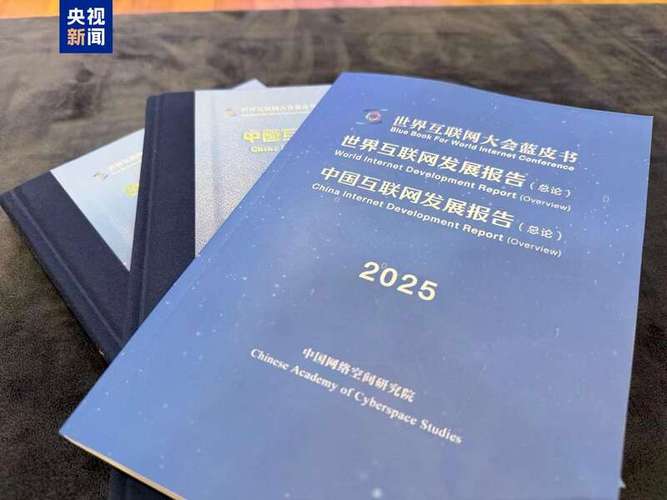 2025互联网经济书籍
